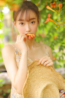 乱鬼龙种子